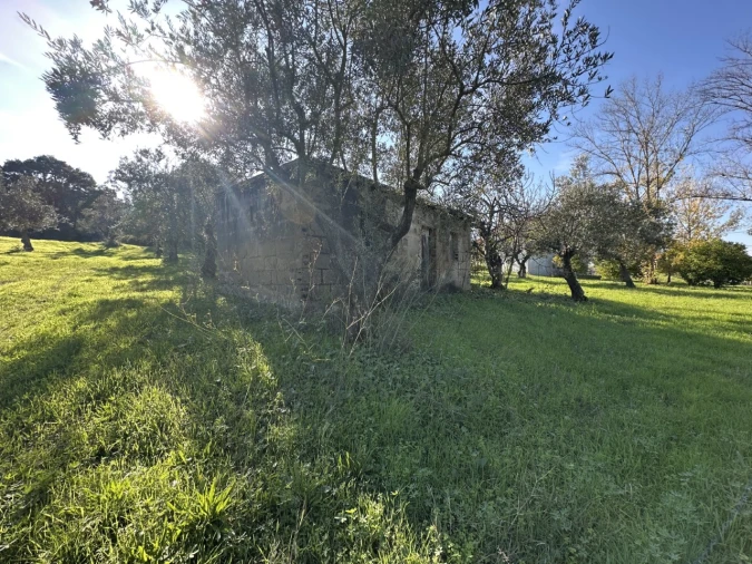 Terreno para Venda em Constancia Foto 18