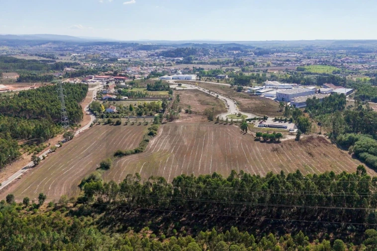 Terreno para Venda em Arcos e Mogofores Foto 8