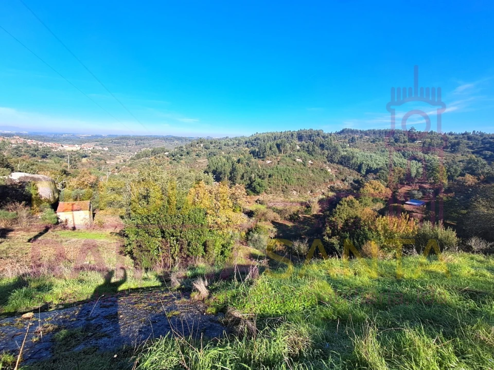 Terreno para Venda em Candosa Foto 3