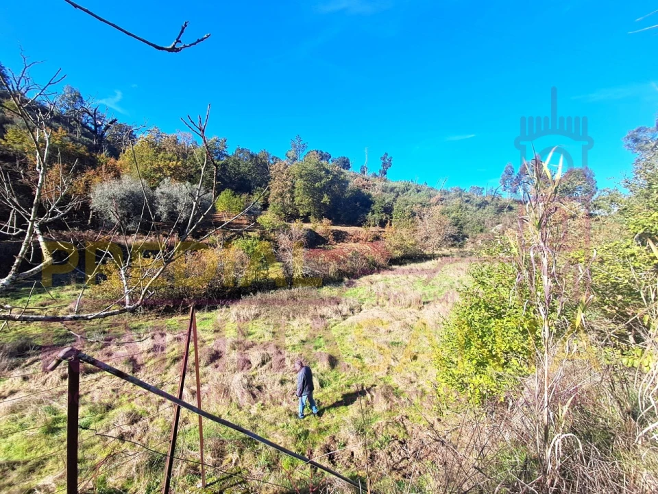 Terreno para Venda em Candosa Foto 6