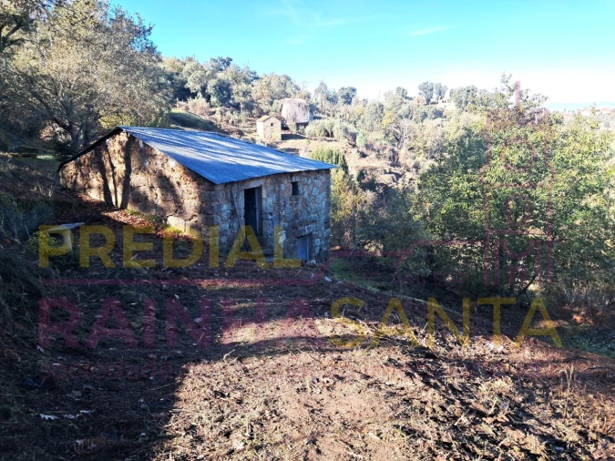 Terreno para Venda em Candosa Foto 4