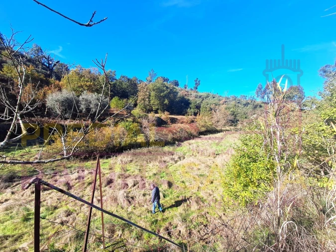 Terreno para Venda em Candosa Foto 6