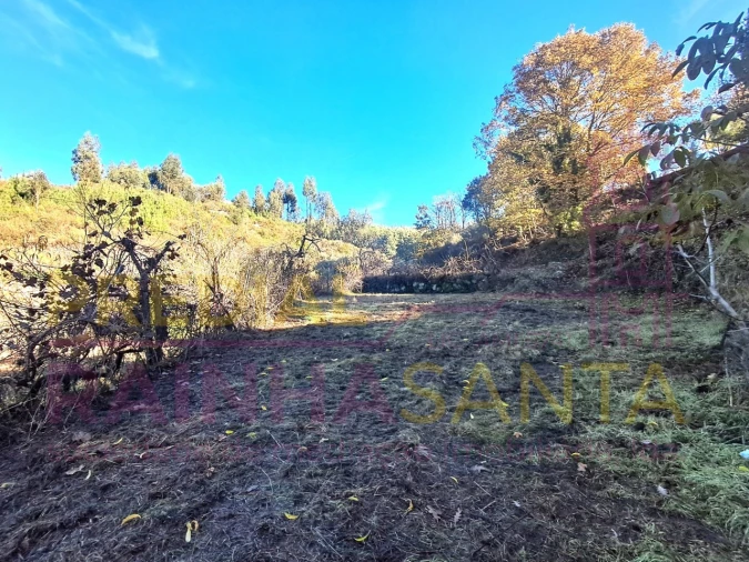 Terreno para Venda em Candosa Foto 8