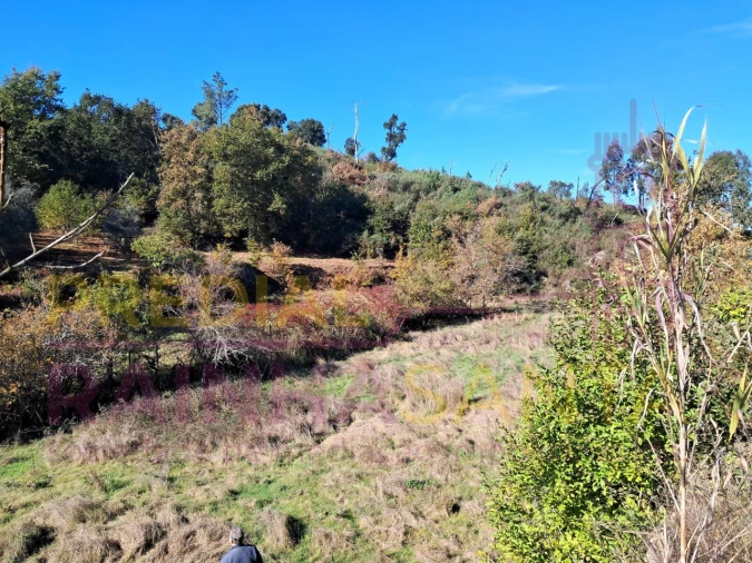 Terreno para Venda em Candosa Foto 9