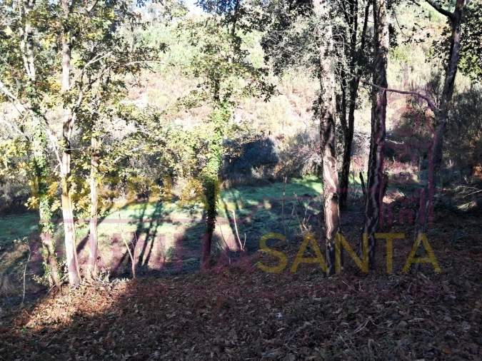 Terreno para Venda em Candosa Foto 12