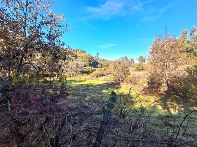 Terreno para Venda em Candosa Foto 13