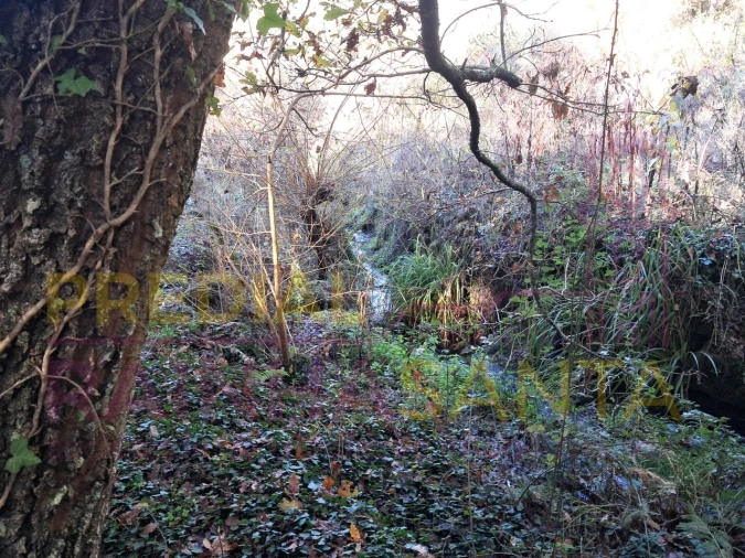 Terreno para Venda em Candosa Foto 14