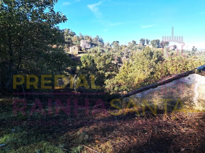 Terreno para Venda em Candosa Foto 17