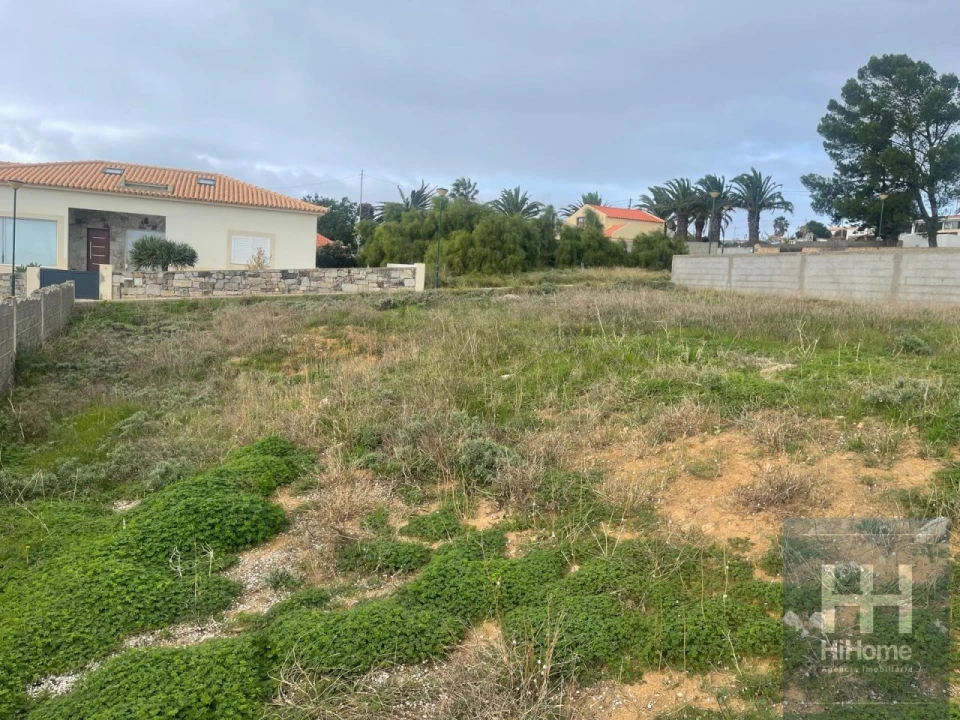 Terreno para Venda em Porto Santo Foto 6