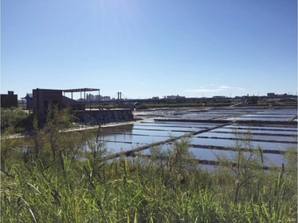 Apartamento T3 para Venda em Esgueira Foto 12