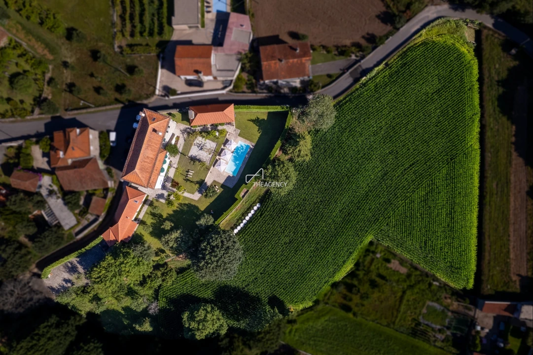 Quinta para Venda em Cossourado Foto 6