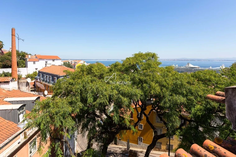 Apartamento T1 para Venda em Santa Maria Maior Foto 8