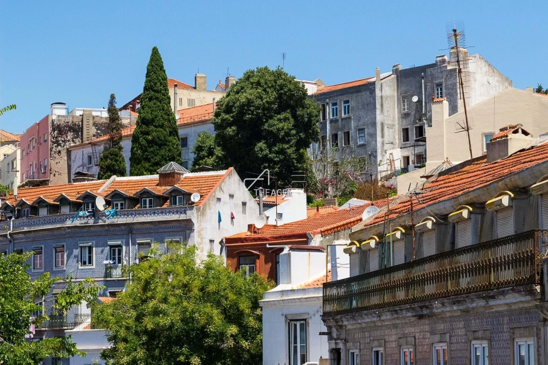 Apartamento T1 para Venda em Santa Maria Maior Foto 7