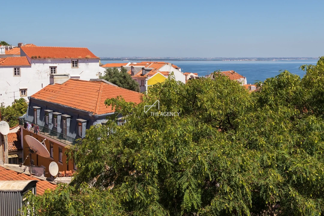 Apartamento T1 para Venda em Santa Maria Maior Foto 24