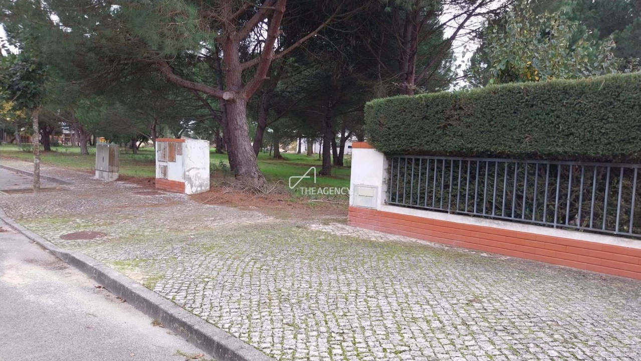 Terreno para Venda em Santo Estêvão Foto 4