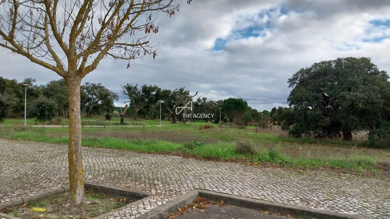 Terreno para Venda em Santo Estêvão Foto 5
