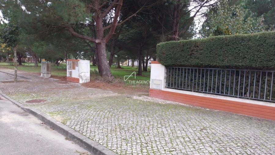 Terreno para Venda em Santo Estêvão Foto 4