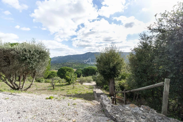 Quinta T5 para Venda em Azeitão (São Lourenço e São Simão) Foto 50