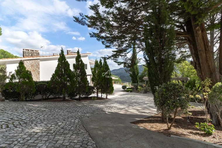 Quinta T5 para Venda em Azeitão (São Lourenço e São Simão) Foto 3