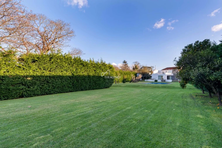 Moradia T3 para Venda em Forjães Foto 25