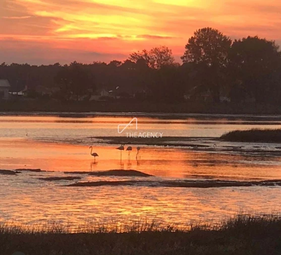 Quinta T10 para Venda em Ovar, São João, Arada e São Vicente de Pereira Jusã Foto 4