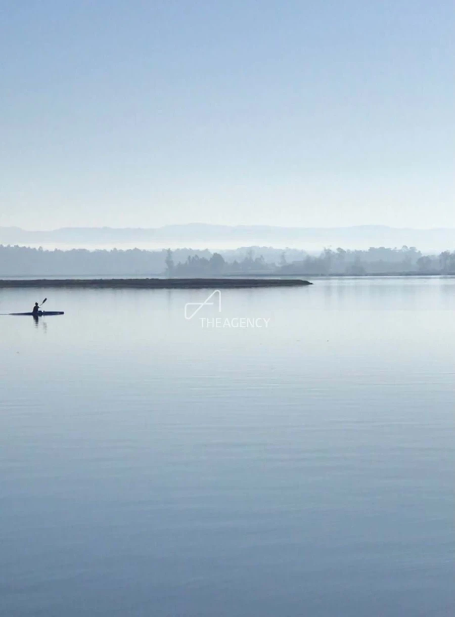 Quinta T10 para Venda em Ovar, São João, Arada e São Vicente de Pereira Jusã Foto 31