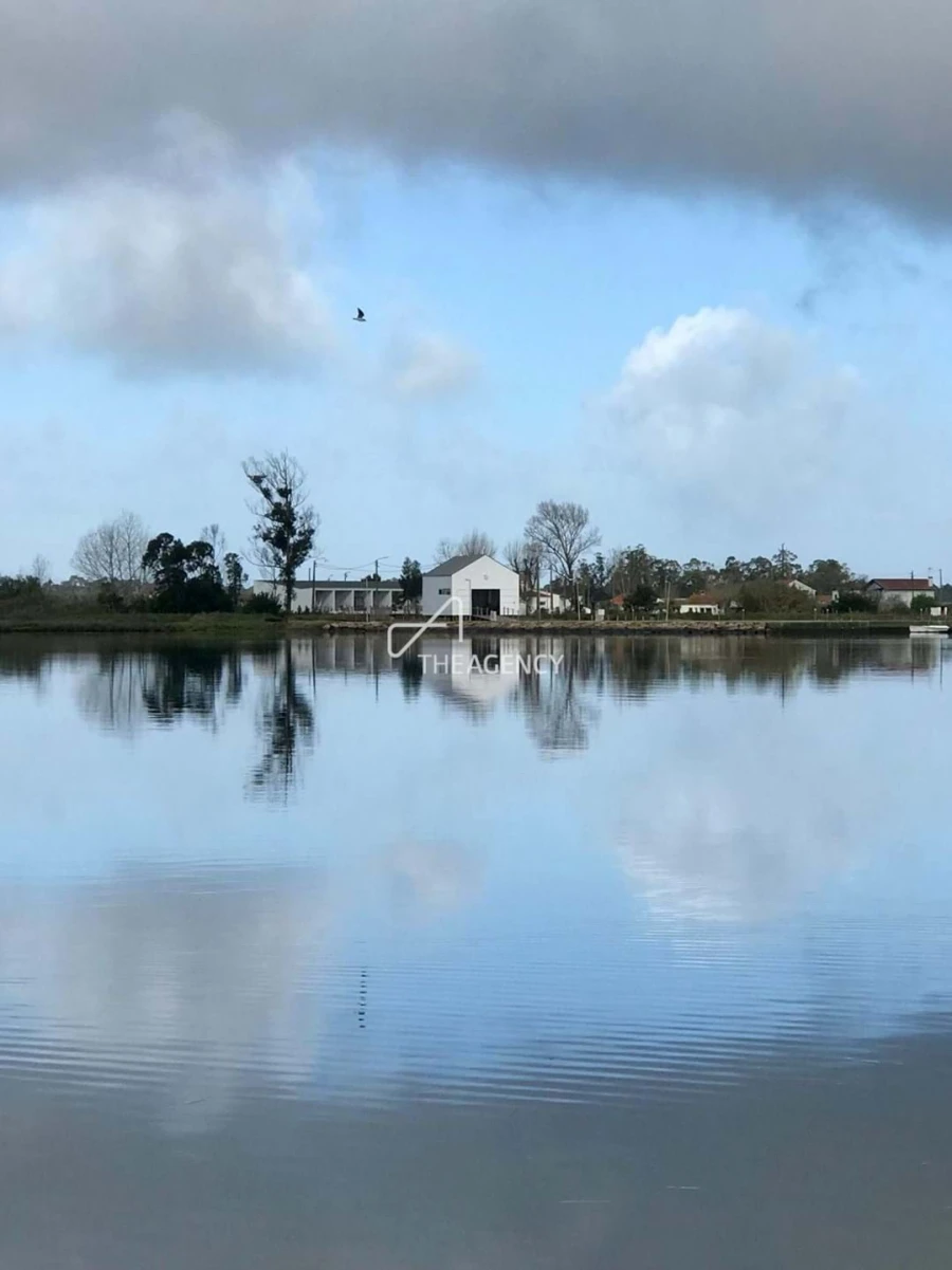 Quinta T10 para Venda em Ovar, São João, Arada e São Vicente de Pereira Jusã Foto 35