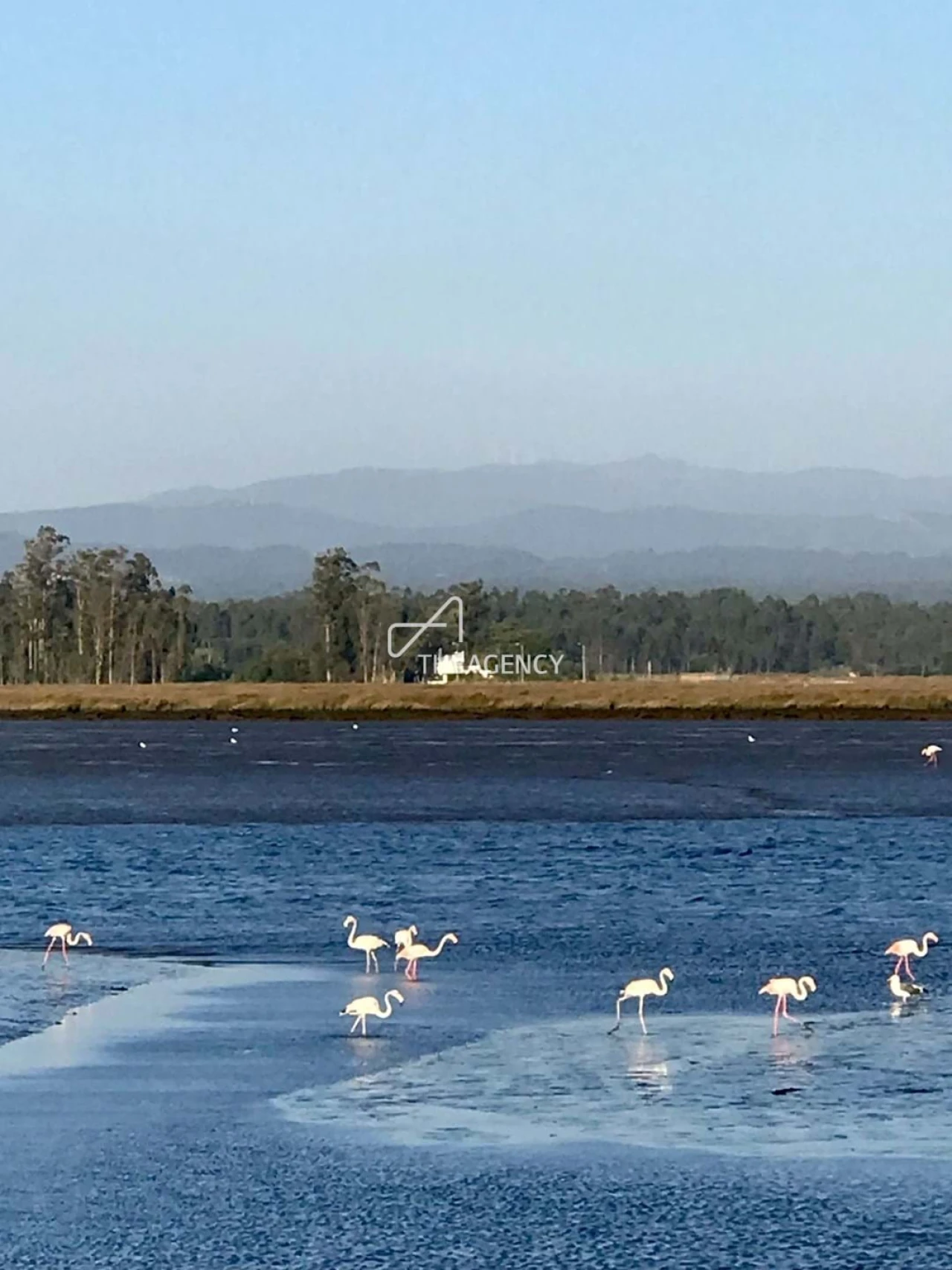 Quinta T10 para Venda em Ovar, São João, Arada e São Vicente de Pereira Jusã Foto 32