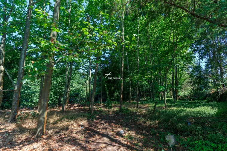 Quinta T6 para Venda em Abragão Foto 41