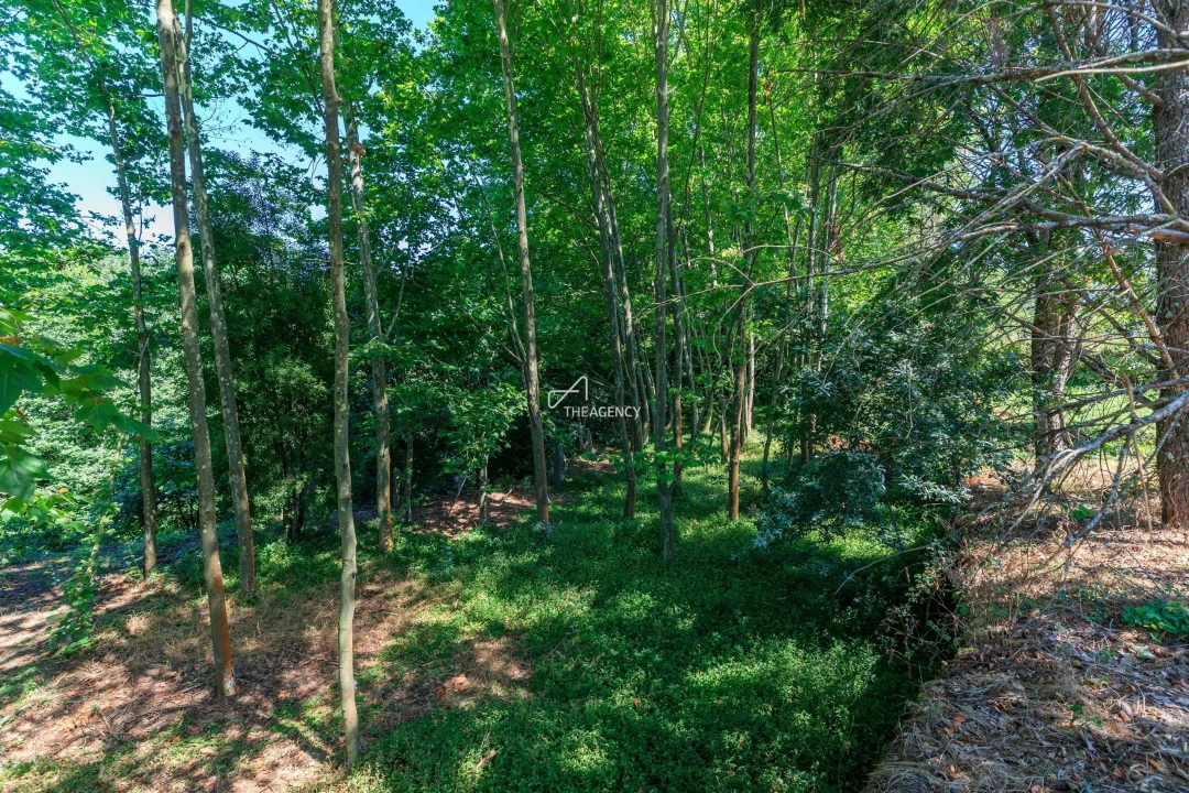 Quinta T6 para Venda em Abragão Foto 43