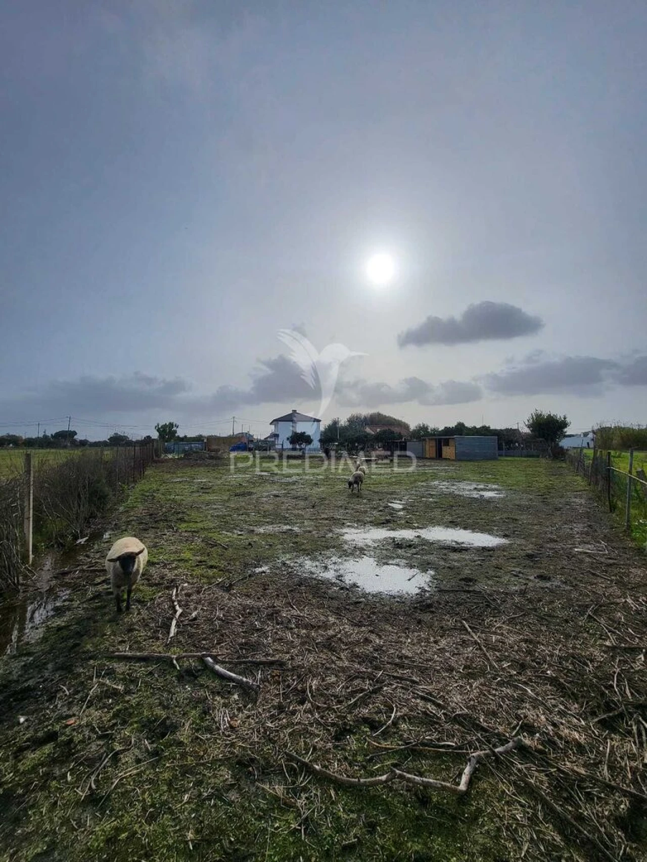 Moradia T4 para Venda em Alhos Vedros Foto 16