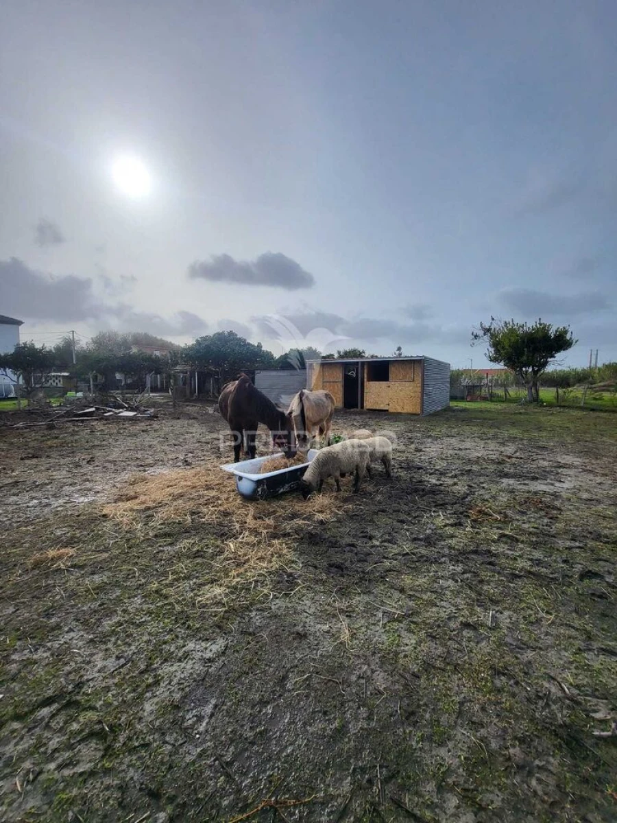 Moradia T4 para Venda em Alhos Vedros Foto 15