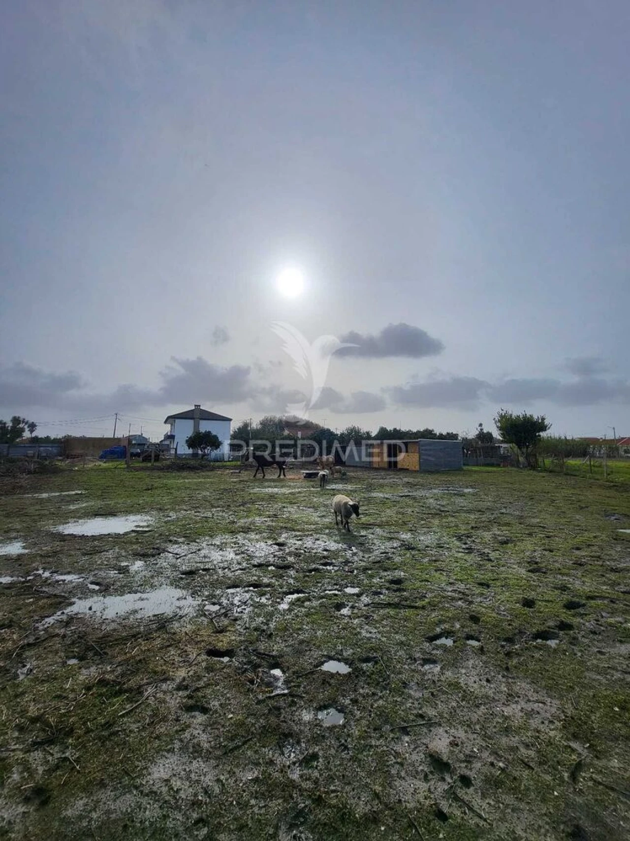 Moradia T4 para Venda em Alhos Vedros Foto 14