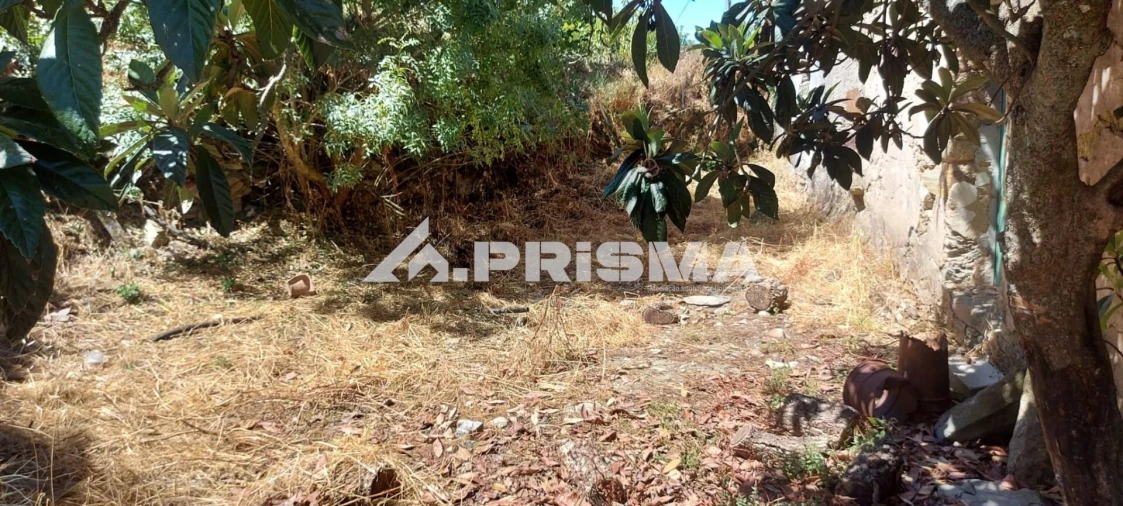 Moradia T3 para Venda em Fratel Foto 7