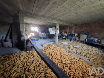 Moradia para Venda em Vila Marim