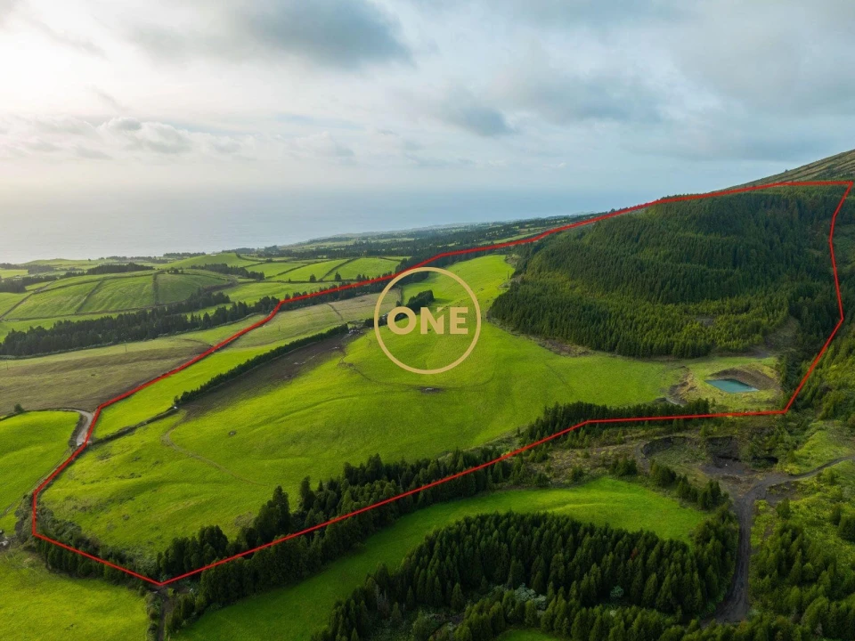 Terreno para Venda em Relva Foto 4