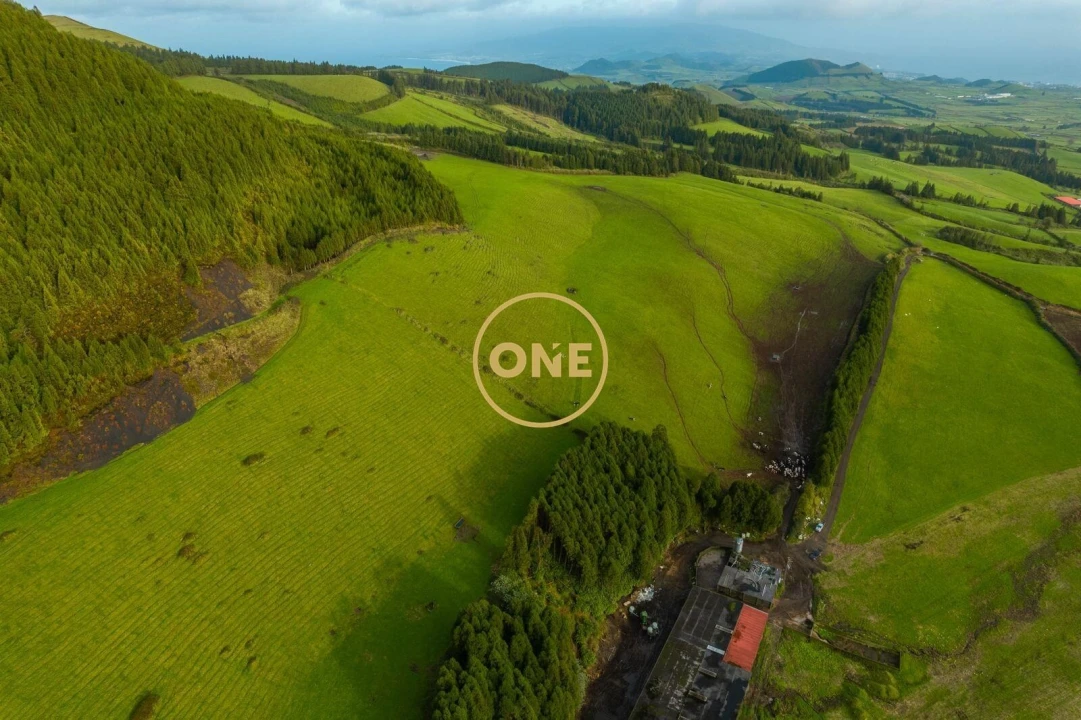 Terreno para Venda em Relva Foto 3