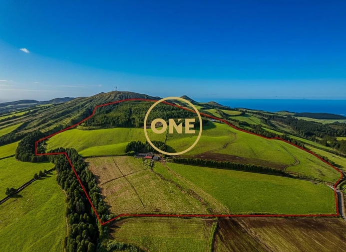 Terreno para Venda em Relva