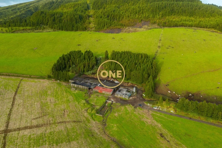 Terreno para Venda em Relva Foto 6