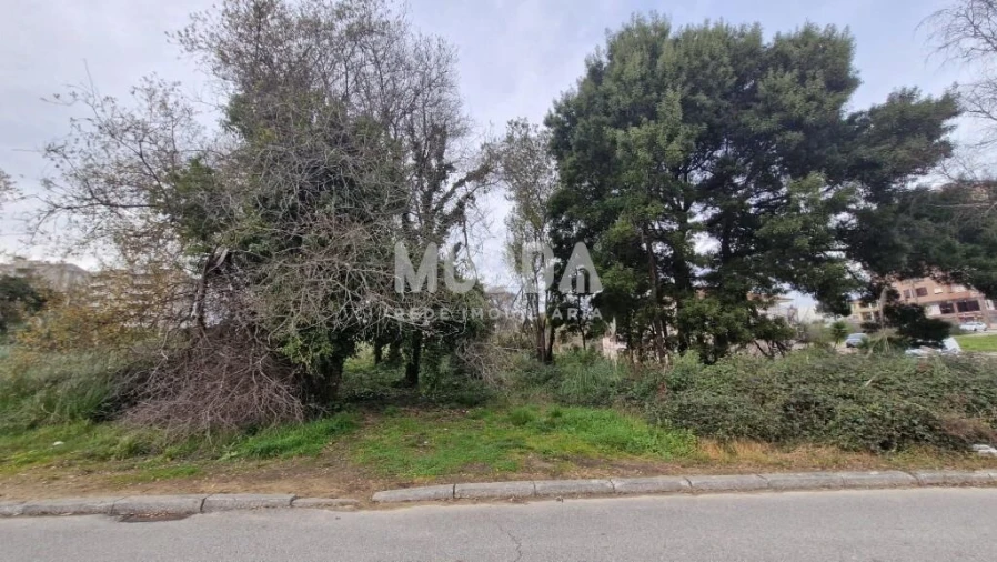 Terreno para Venda em São João da Madeira Foto 13