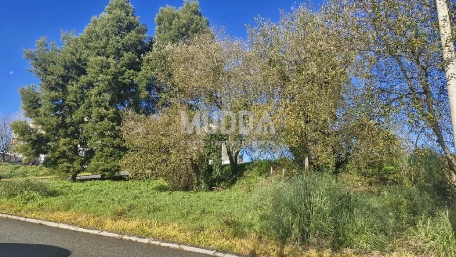 Terreno para Venda em São João da Madeira Foto 3