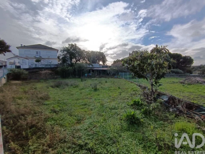 Terreno para Venda em Chancelaria Foto 4