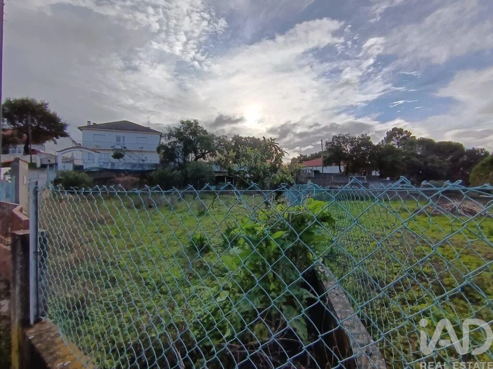 Terreno para Venda em Chancelaria Foto 3