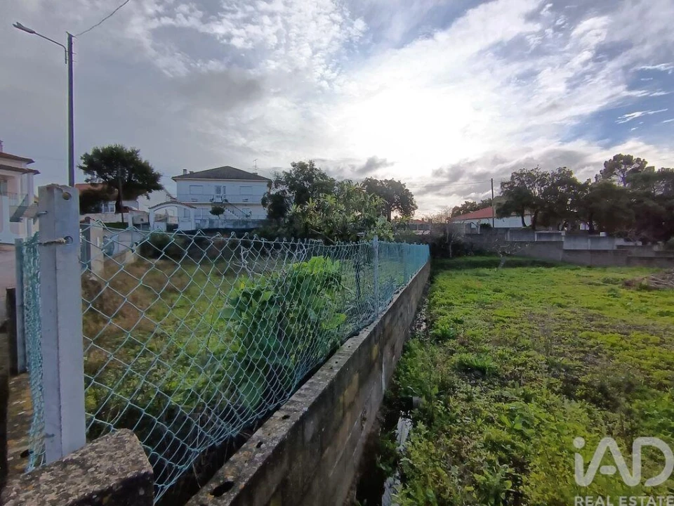 Terreno para Venda em Chancelaria Foto 5