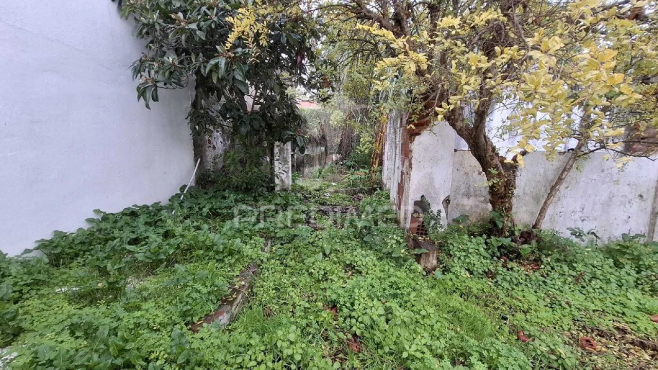 Moradia T1 para Venda em Alpiarça Foto 6