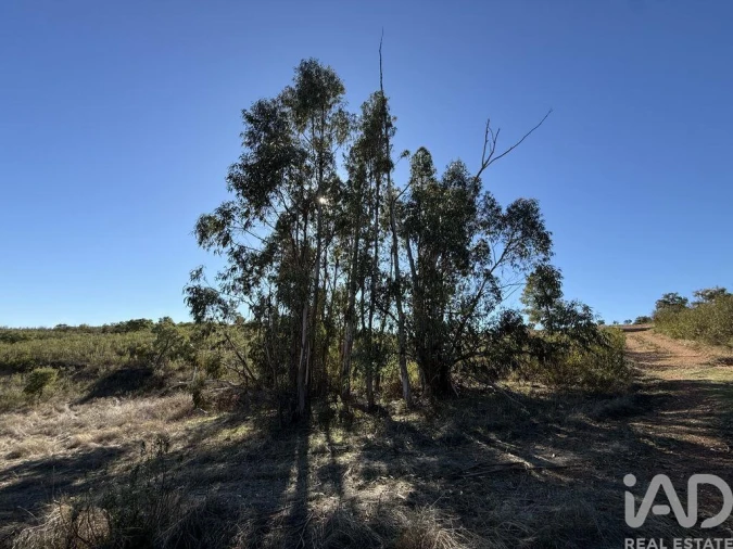 Moradia T1 para Venda em Amieira e Alqueva Foto 8