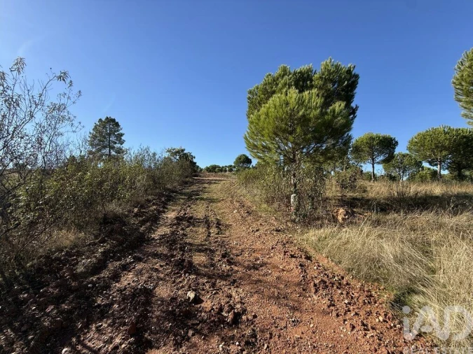 Moradia T1 para Venda em Amieira e Alqueva Foto 3