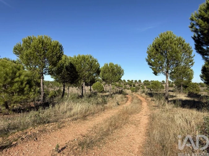 Moradia T1 para Venda em Amieira e Alqueva Foto 20