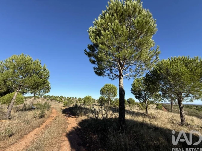 Moradia T1 para Venda em Amieira e Alqueva Foto 2