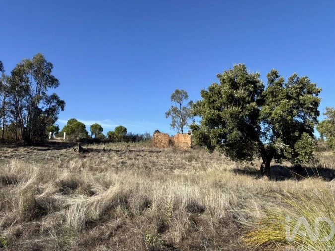 Moradia T1 para Venda em Amieira e Alqueva Foto 13